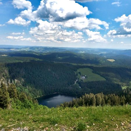 Ferienwohnung Kraftquelle Im Wohnpark Schwarzwaldblick, Bernau Eksteriør bilde