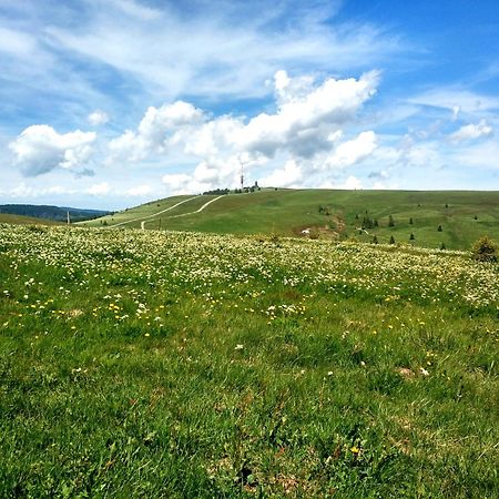 Ferienwohnung Kraftquelle Im Wohnpark Schwarzwaldblick, Bernau Eksteriør bilde