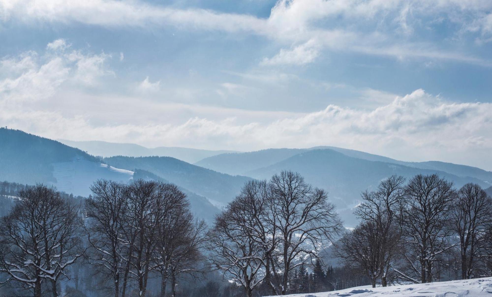 Ferienwohnung Kraftquelle Im Wohnpark Schwarzwaldblick, Bernau Eksteriør bilde