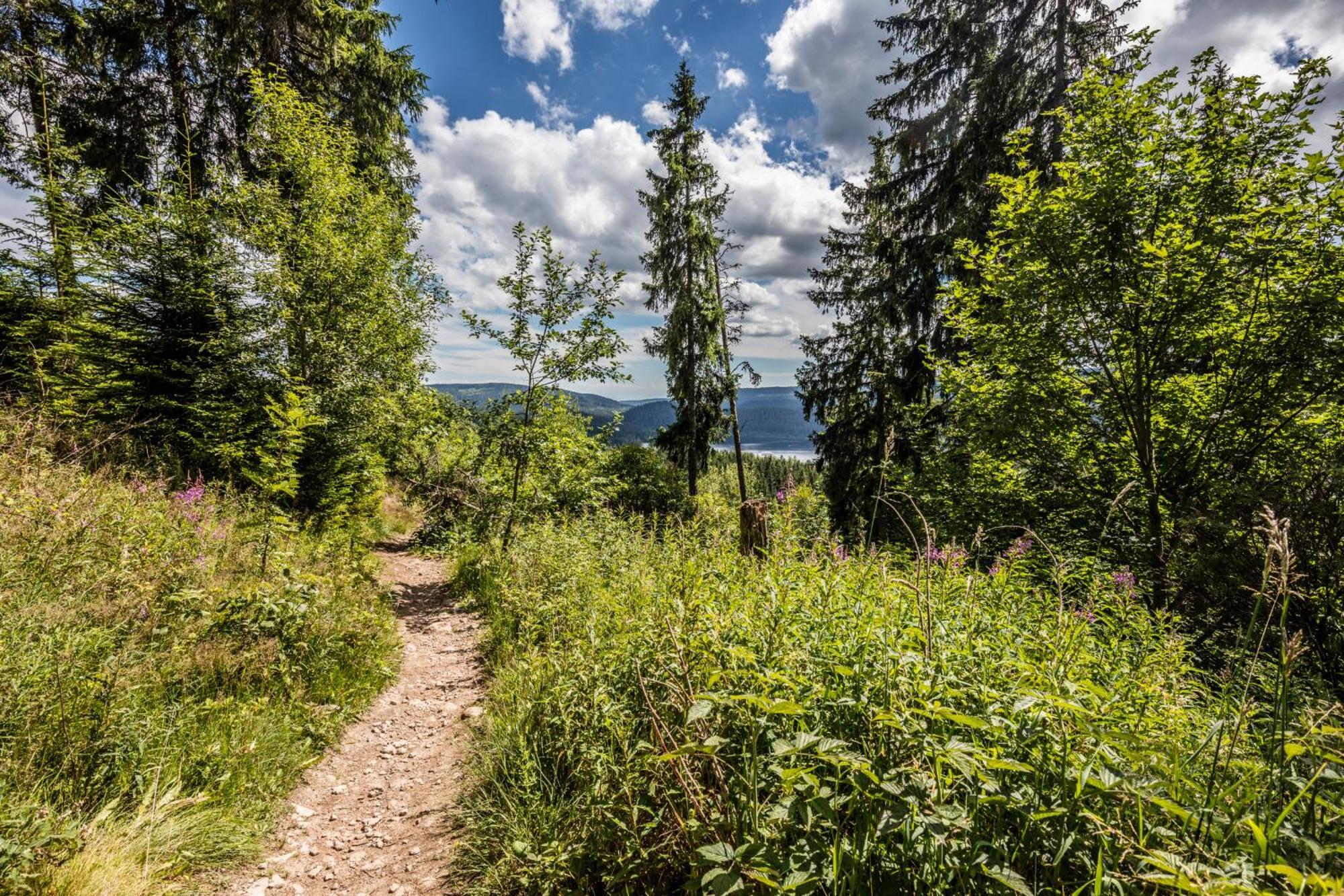 Ferienwohnung Kraftquelle Im Wohnpark Schwarzwaldblick, Bernau Eksteriør bilde